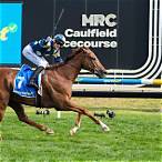sports bet horse racing